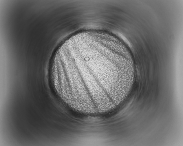 X0000093490487200711091647