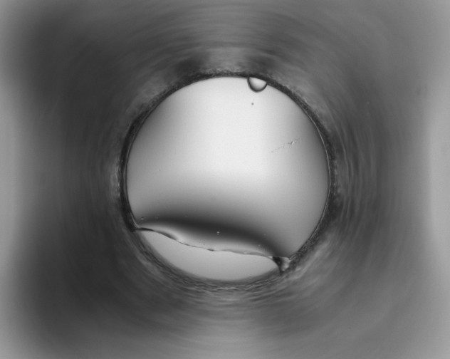 X0000093490489200711091647