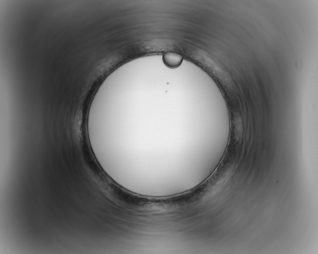 X0000093490490200711091647