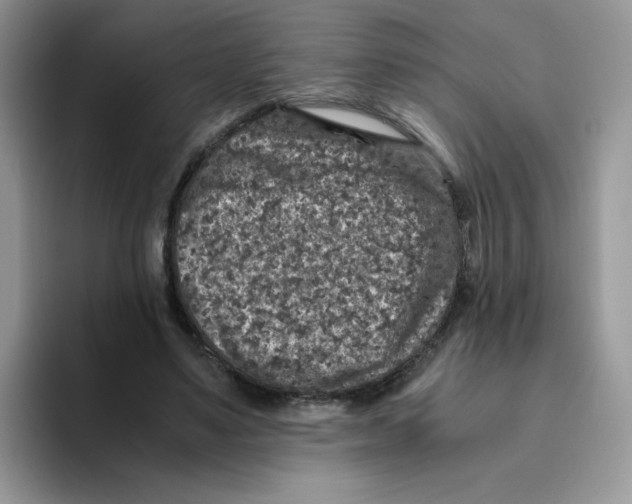 X0000093490491200711091647