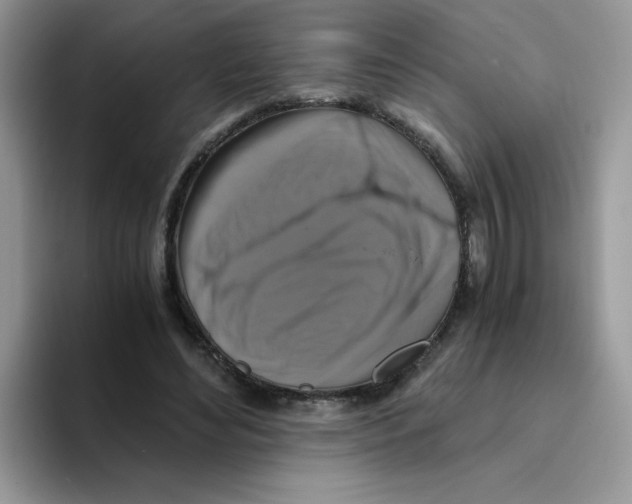 X0000093490492200711091647