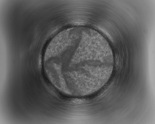 X0000093490494200711091647