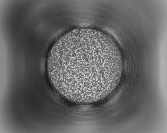 X0000093490495200711091647