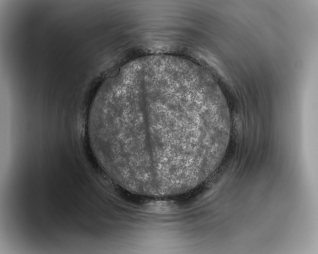 X0000093490499200711091647