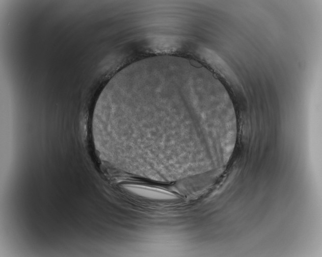 X0000093490501200711091647