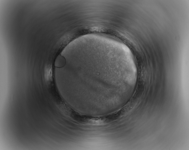 X0000093490502200711091647