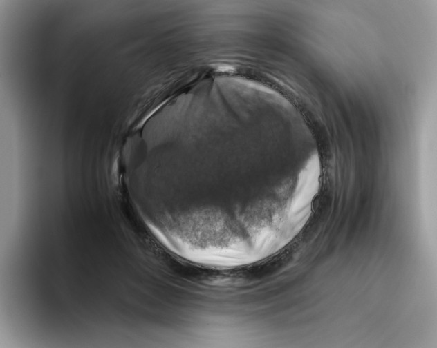 X0000093490504200711091647