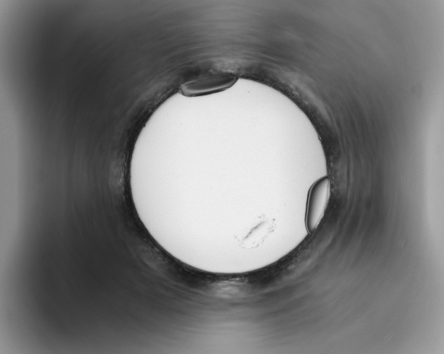 X0000093490505200711091647