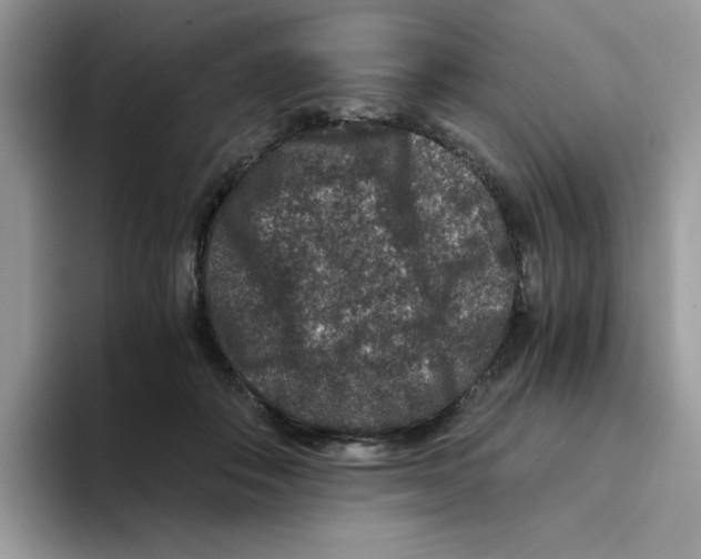 X0000093490506200711091647