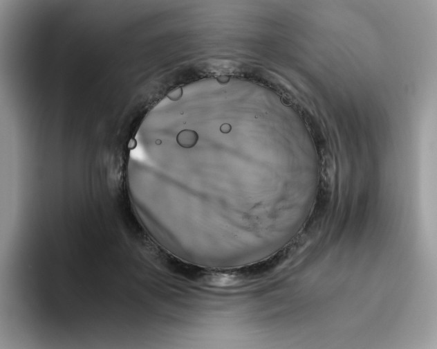 X0000093490507200711091647