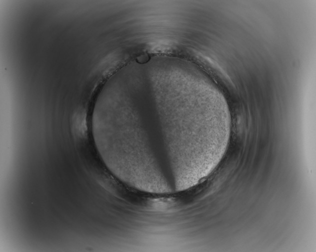 X0000093490508200711091647