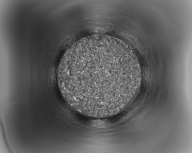 X0000093490511200711091647