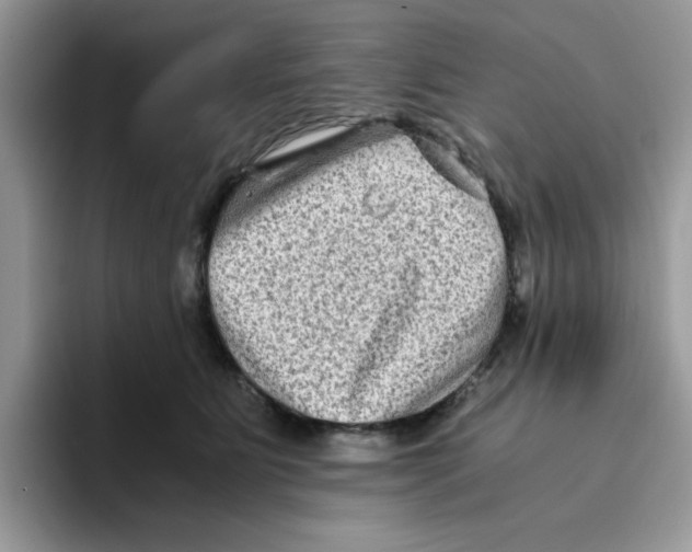 X0000093490515200711091647