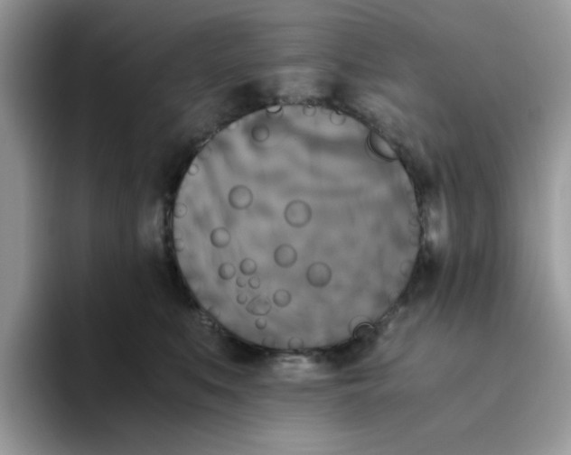 X0000093490519200711091647