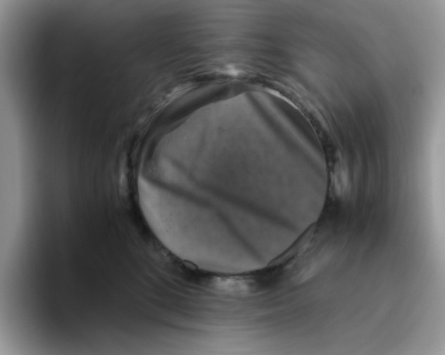 X0000093490520200711091647