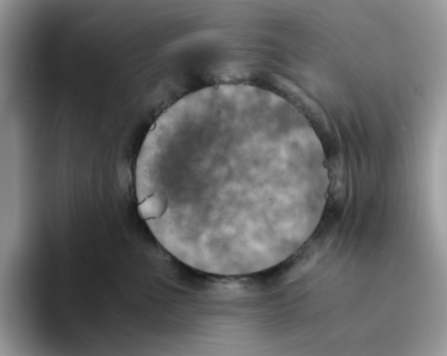 X0000093490523200711091647