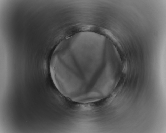 X0000093490524200711091647