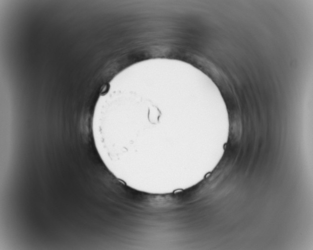 X0000093490525200711091647