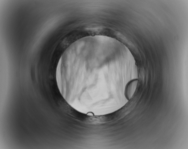 X0000093490526200711091647