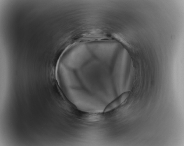 X0000093490528200711091647