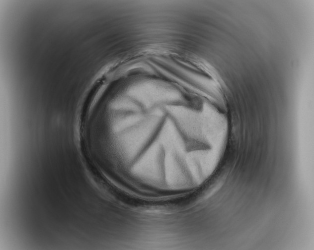 X0000093490530200711091646