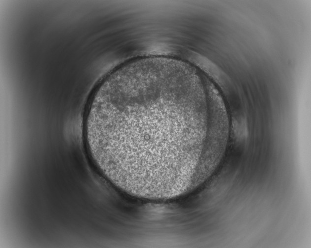 X0000093490534200711091646