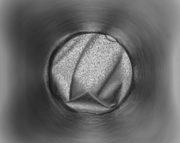 X0000093490536200711091646