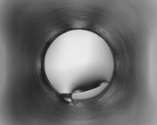 X0000093490539200711091646