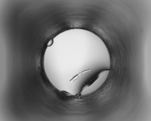 X0000093490543200711091646