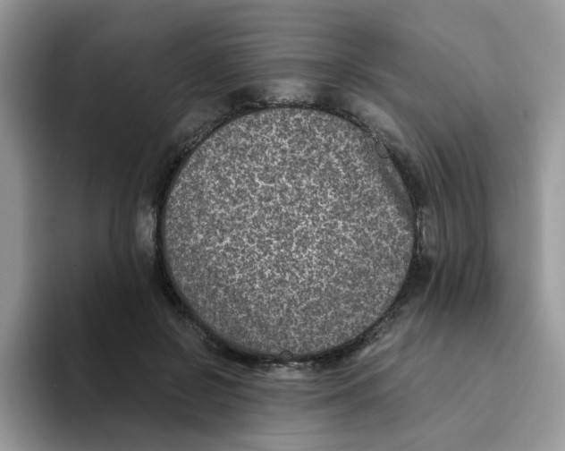 X0000093490550200711091646