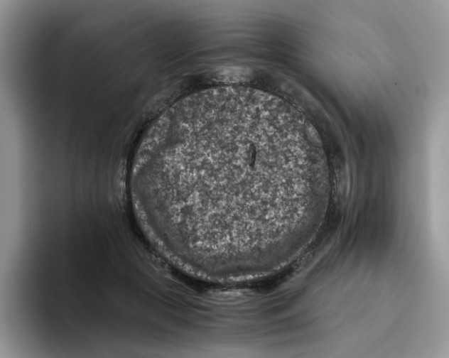 X0000093490553200711091646