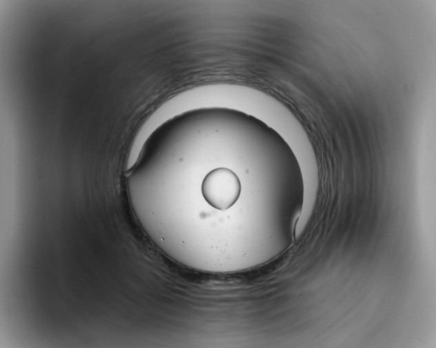 X0000093490556200711091647