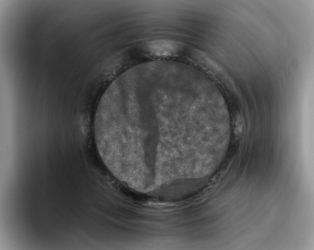 X0000093490559200711091647