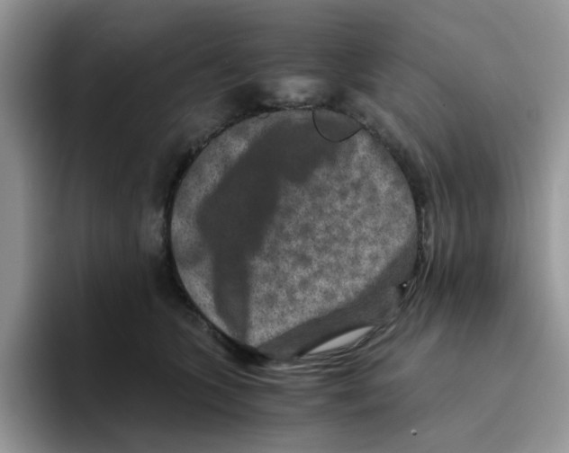 X0000093490563200711091647