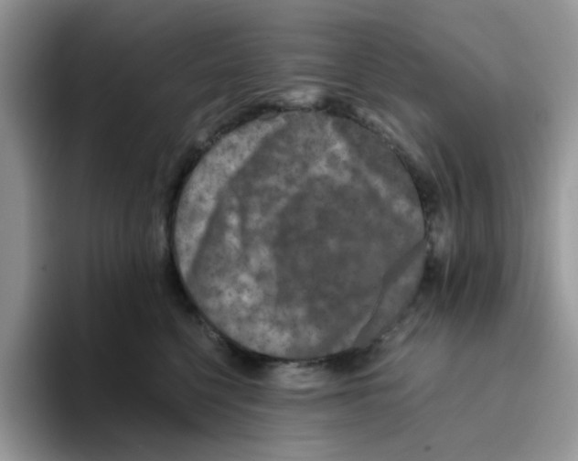 X0000093490568200711091647