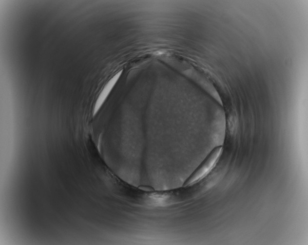 X0000093490570200711091647