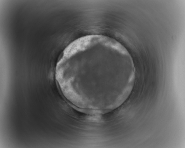 X0000093490576200711091647