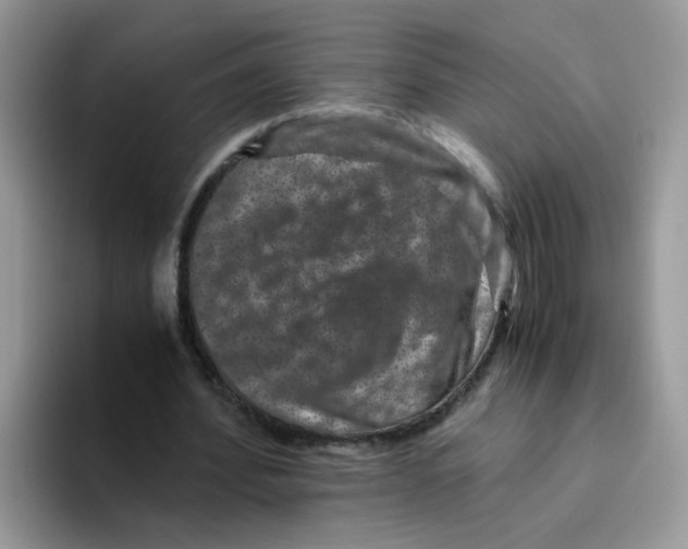 X0000093490580200711091646