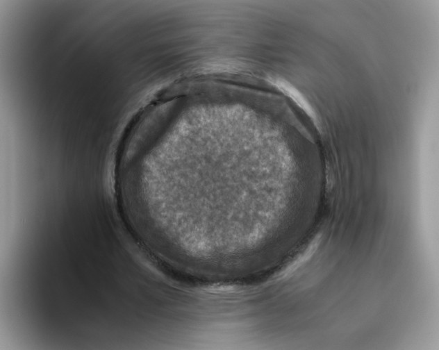 X0000093490581200711091646