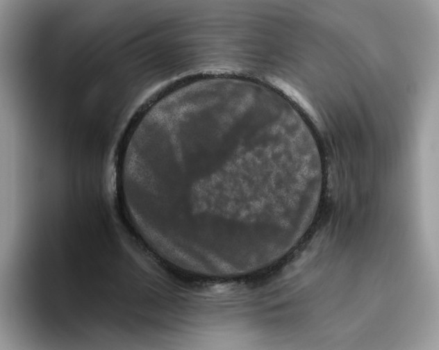 X0000093490584200711091646