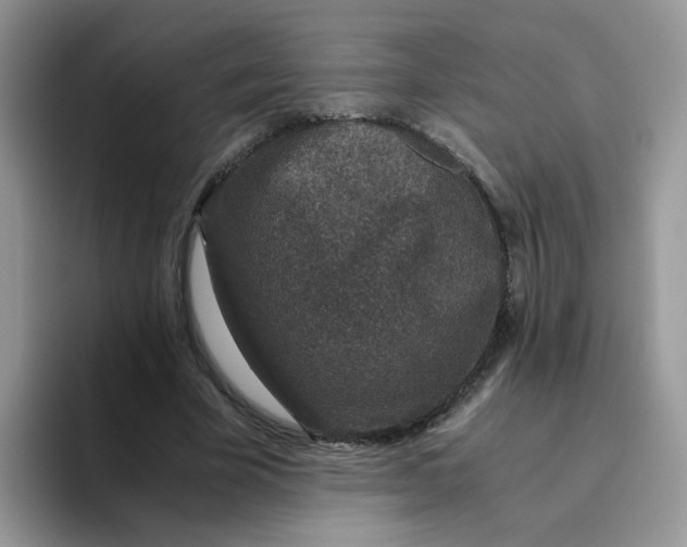 X0000093490585200711091646