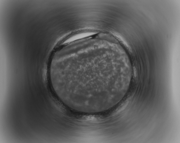 X0000093490588200711091646