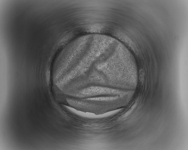 X0000093490589200711091646