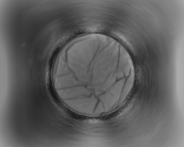 X0000093490590200711091646