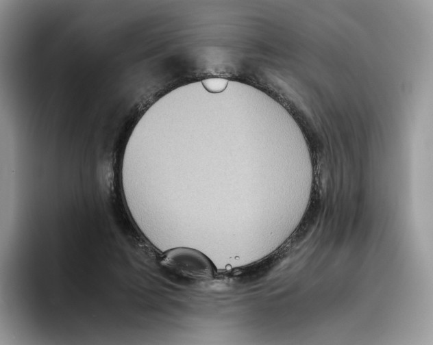 X0000093490595200711091646