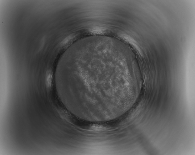 X0000093490596200711091646