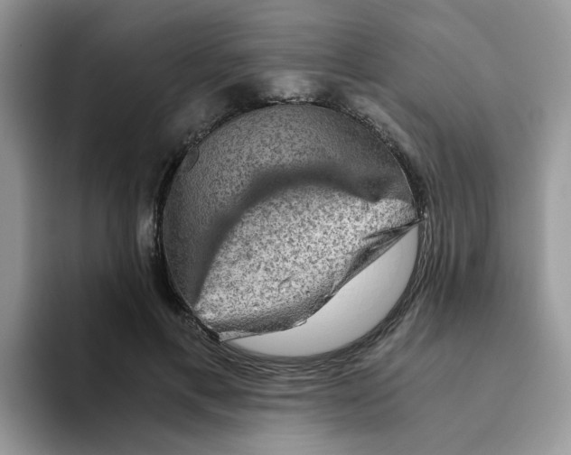 X0000093490597200711091646