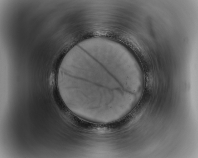 X0000093490598200711091646