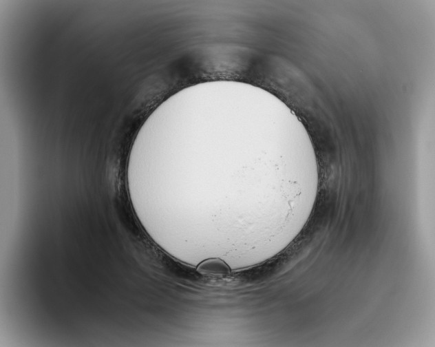 X0000093490599200711091646