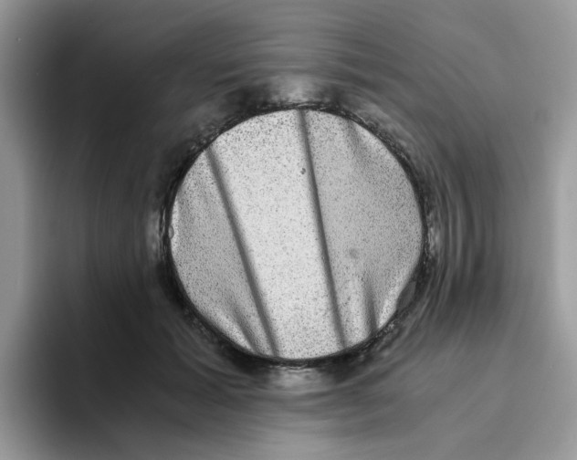 X0000093490605200711091646